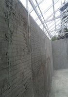 building thumb